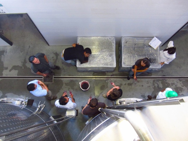 El equipo de hormigas probando la microvinificación del Altos Las Hormigas Single Vineyard Malbec, Gualtallary, Tupungato, Valle de Uco.
